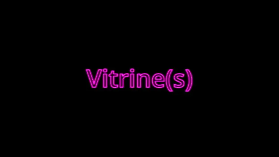 Video for the film Shopwindows — Vitrines - Photomontage