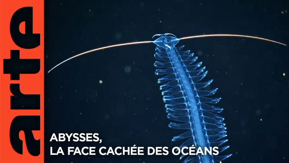 Video for the film Faszination Tiefsee - Expedition zum Grund der Meere — Abysses, la face cachée des océans - Extrait | Documentaire | ARTE