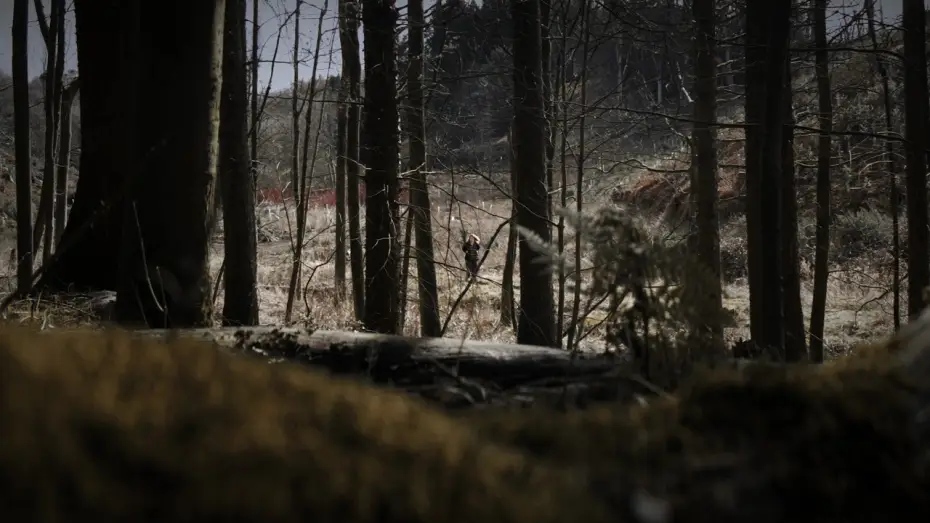 Video for the film Branches of a Fig Tree — Branches of a Fig Tree - Teaser