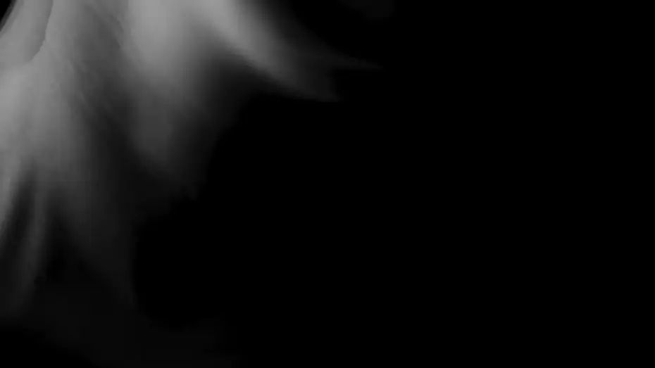 Video for the film Ballet Biologic — Ballet Biologic