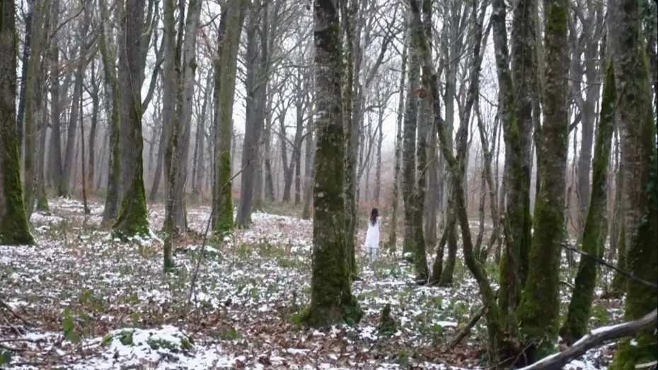 Video for the film somniaque — somniaque | court-métrage
