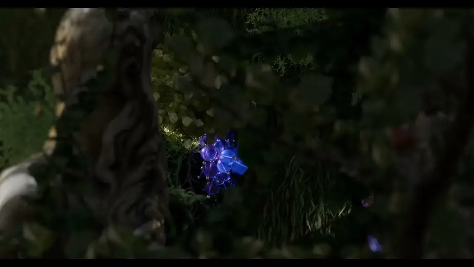Video for the film The Fox and the Grapes — The Fox and The Grapes Official trailer