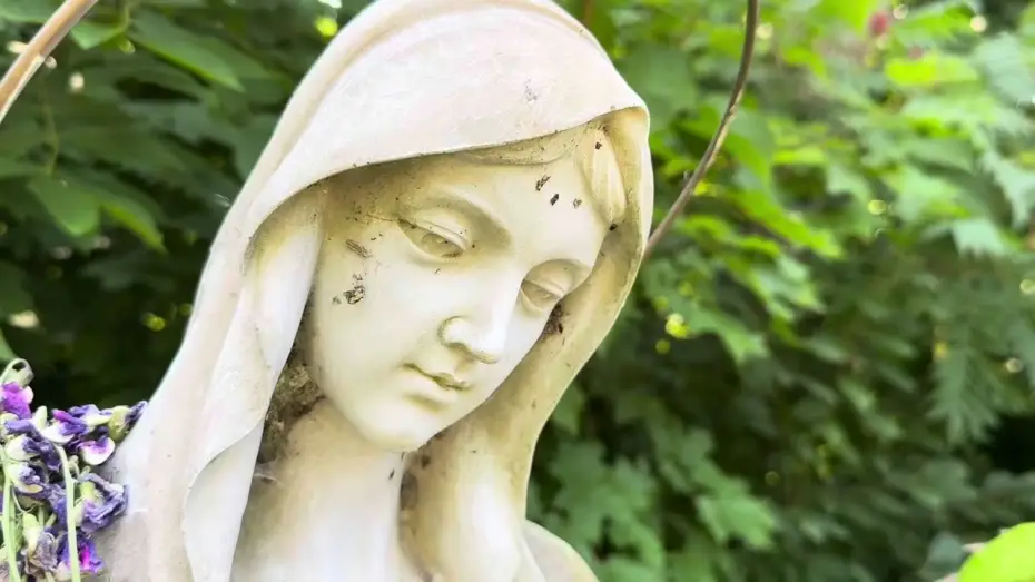 Video for the film Orchard Beach Road — Orchard Beach Road Official Trailer