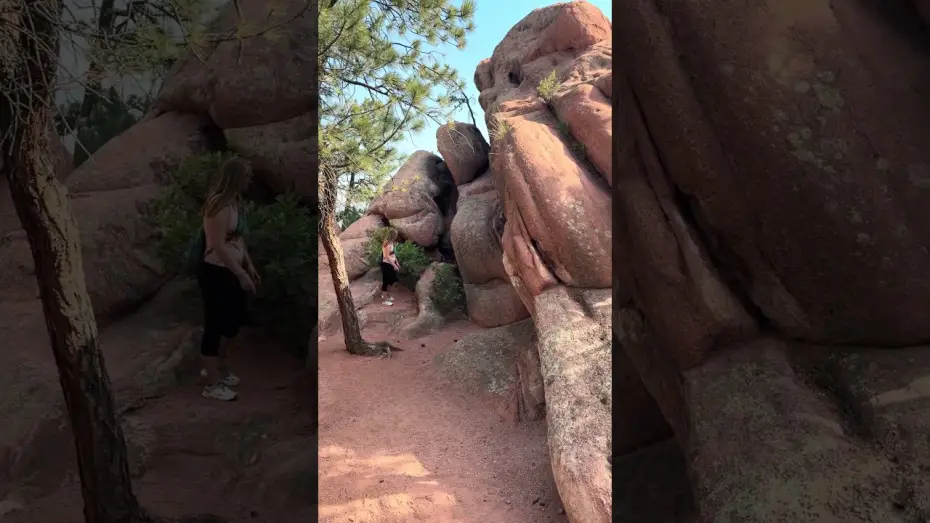 Video for the film A Fun family hike — A fun family hike