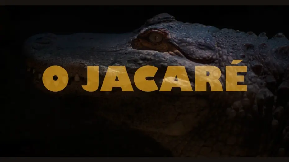 Video for the film O Jacaré — Official Trailer