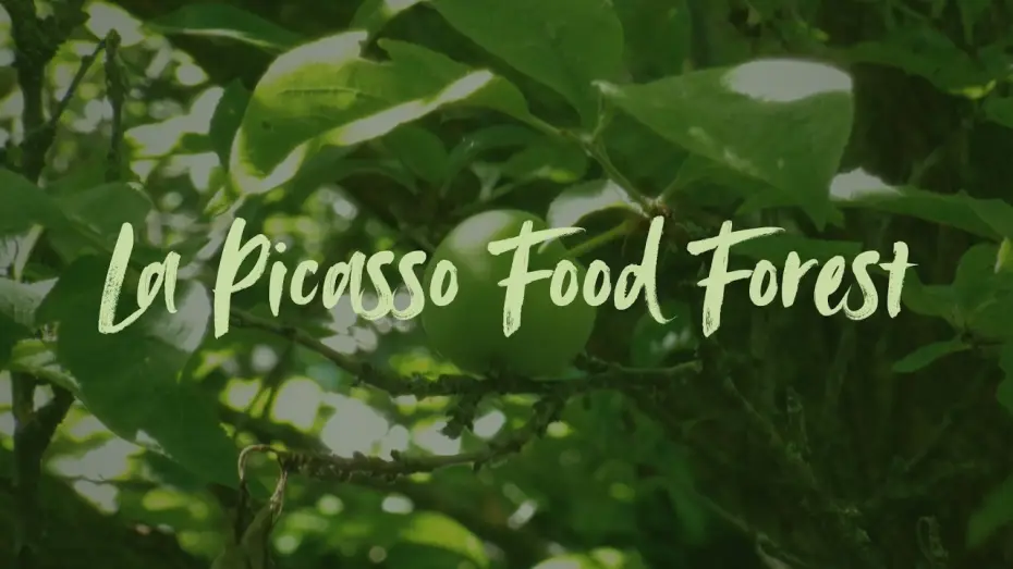 Video for the film La Picasso Food Forest — La Picasso Food Forest