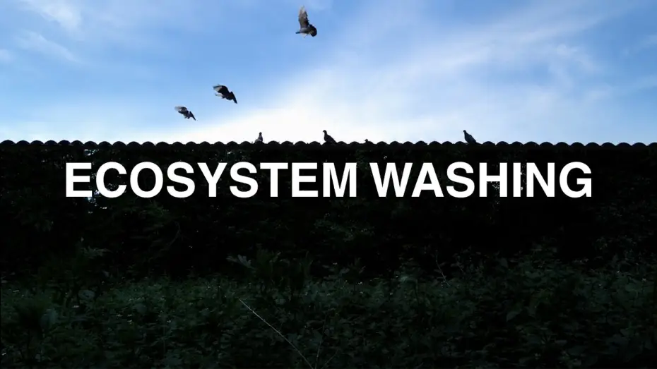 Video for the film Ecosystem washing — Ecosystem Washing