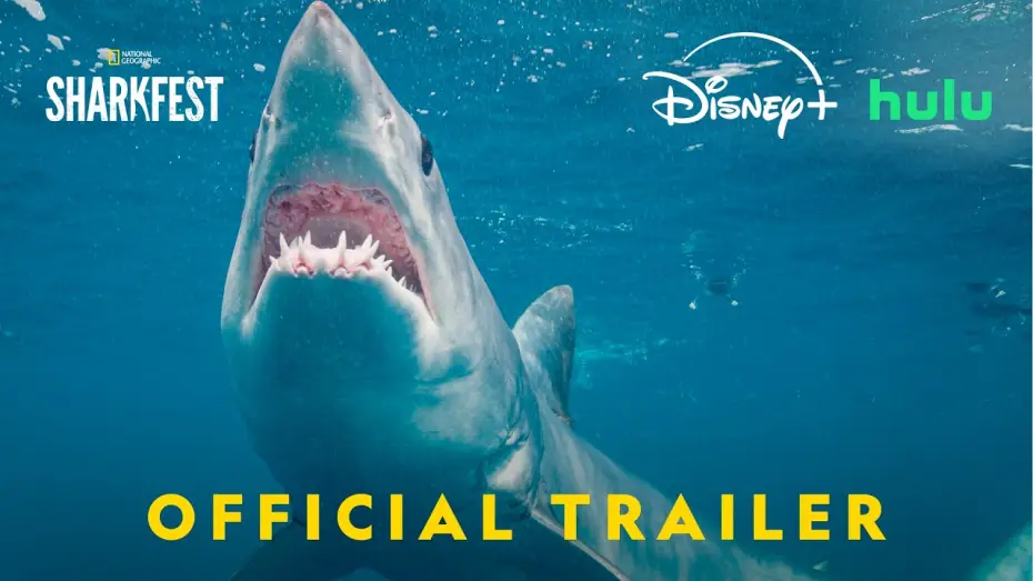 Video for the film Great White Gauntlet — Sharkfest 2026 | Official Promo | Nat Geo Animals