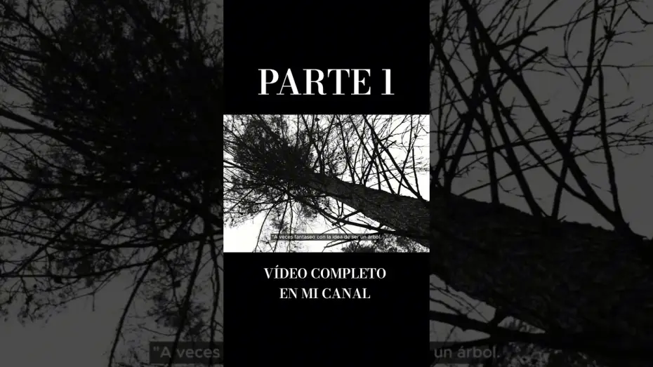 Video for the film L'ARBRE — L'ARBRE | PARTE 1
