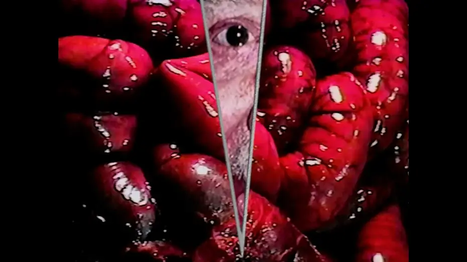 Video for the film Intimate Bodies — Intimate Bodies Trailer