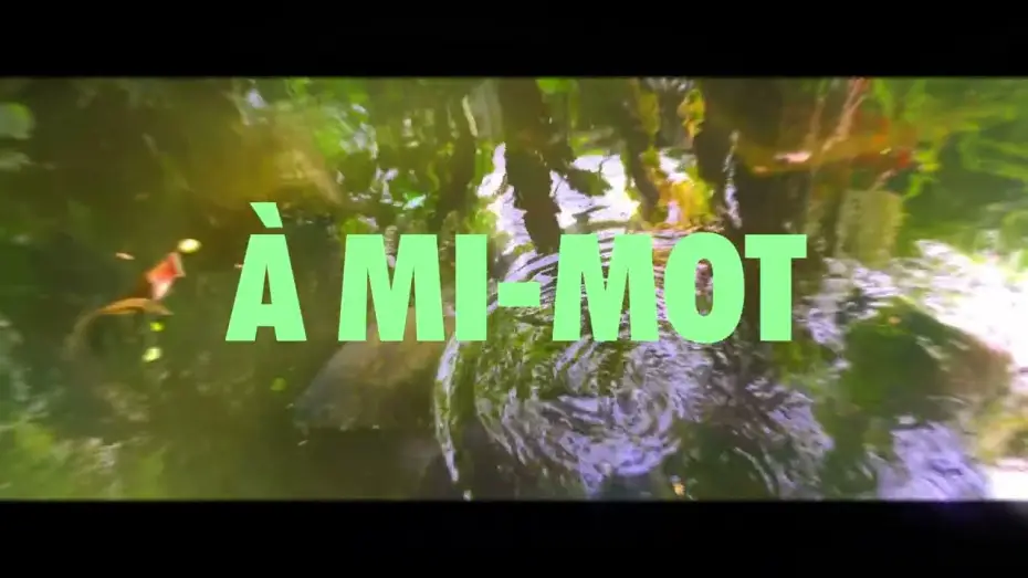 Video for the film À MI-MOT — À MI-MOT