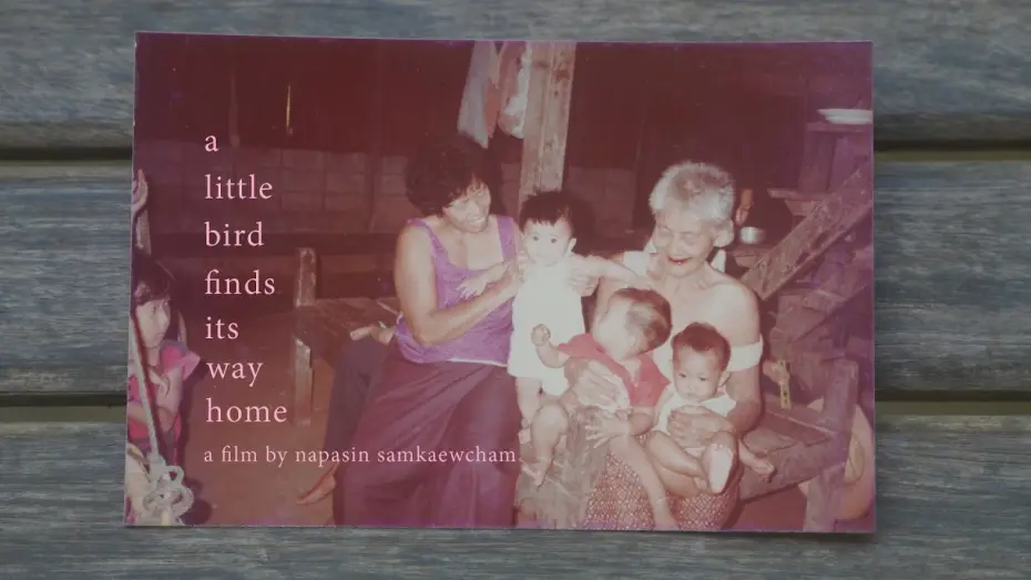 Video for the film a little bird finds its way home — นกเล็ก (a little bird finds its way home) (2026) | Trailer