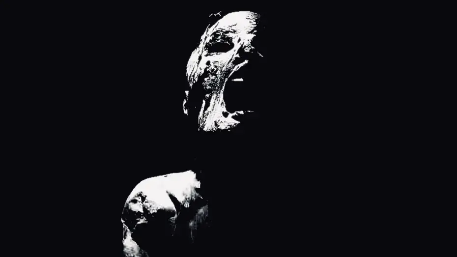 Video for the film Why Nothing Matters — why nothing matters