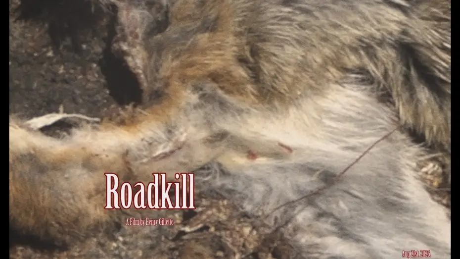Video for the film Roadkill — Roadkill: Out Friday