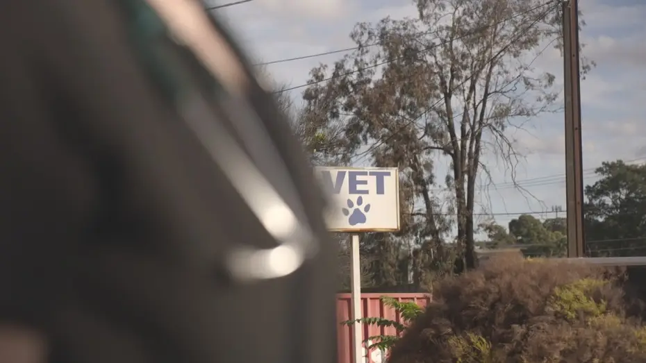 Video for the film The Clinic — The Clinic Teaser
