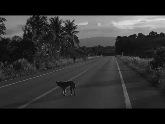 Video for the film SA-WAN-BAN-NA — SA - WUN - BAN - NA (2566)