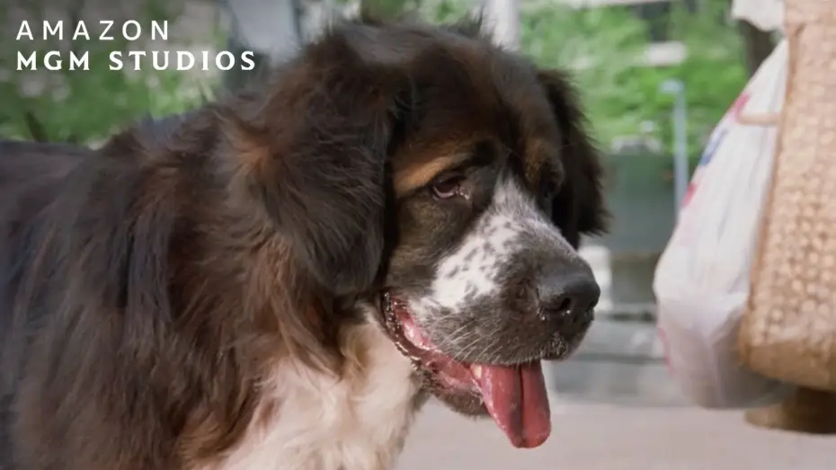 Video for the film Fluke — Meeting Rumbo