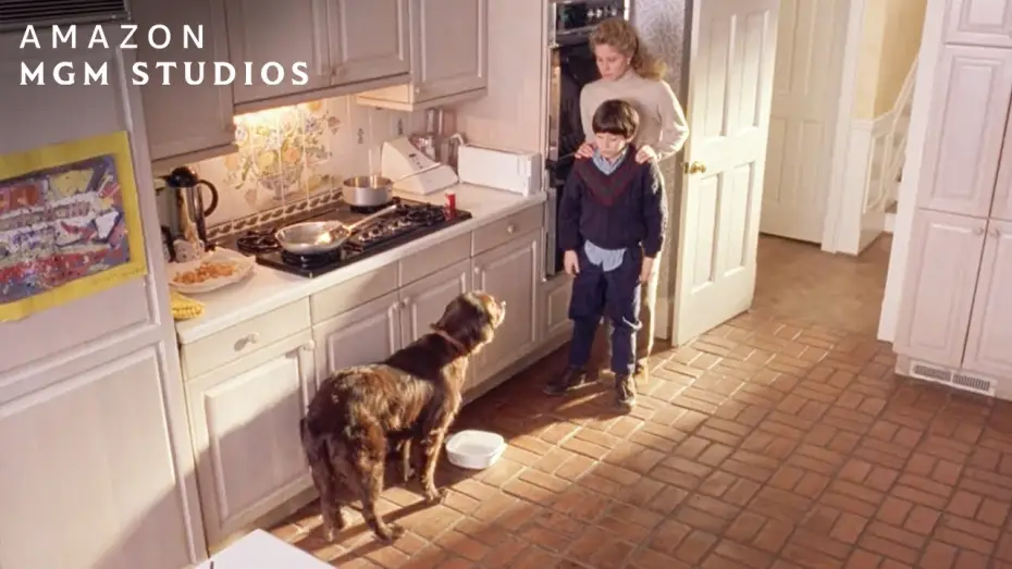 Video for the film Fluke — Fluke Finds His Old Family