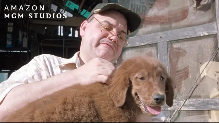 Video for the film Fluke — Fluke's New Home