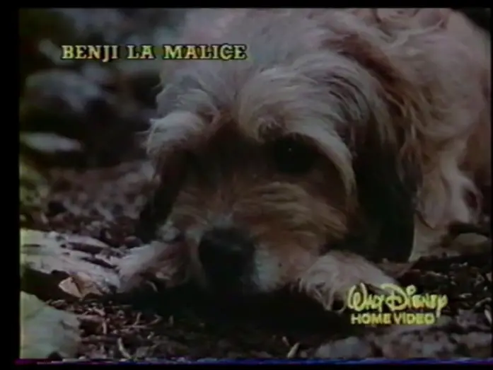 Video for the film Benji the Hunted — Benji la malice (1987) Bande annonce française.
