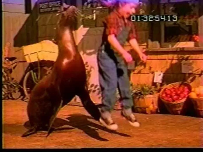 Video for the film Andre — "Andre" trailer