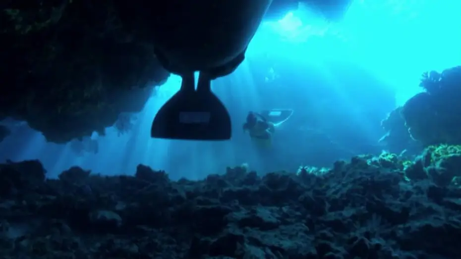 Video for the film The Cove — DIE BUCHT "The Cove" - DVD Trailer 11.03.10