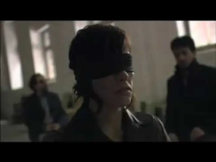 Video for the film Fay Grim — Official Trailer