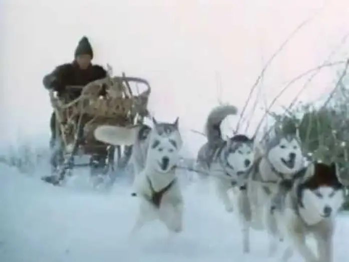 Video for the film Iron Will — Iron Will Movie Trailer (better quality)