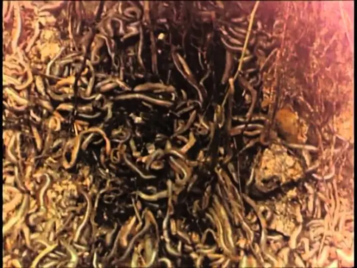 Video for the film Squirm — Squirm - Invasion der Bestien (1976) Deutscher Trailer
