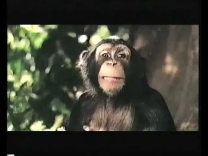 Video for the film George of the Jungle 2 — Disney's George of the jungle 2 Trailer 2003 (VHS Capture)