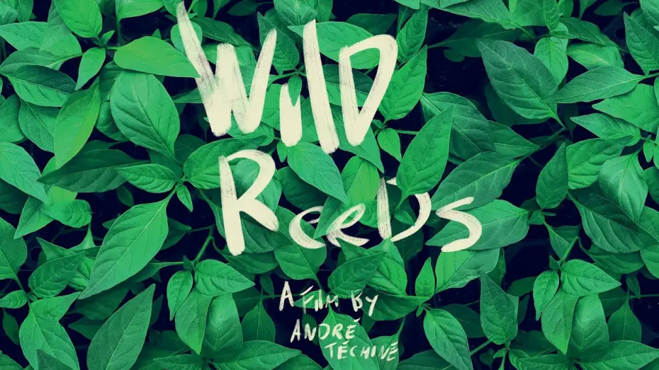 Video for the film Wild Reeds — Wild Reeds (Les roseaux sauvages) - U.S. Restoration Trailer (HD)