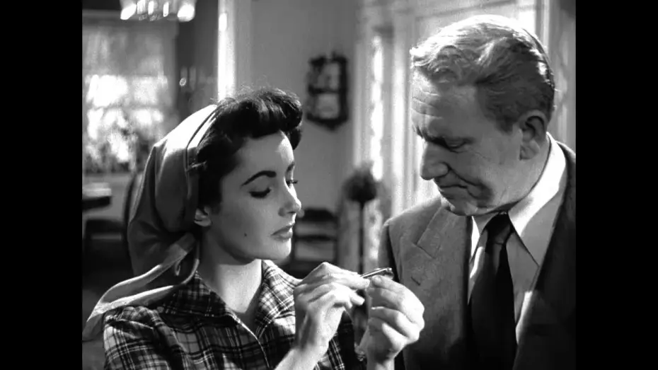 Video for the film Father of the Bride — Der Vater der Braut - Trailer