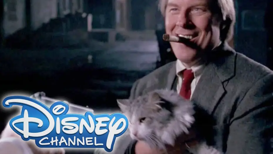 Video for the film That Darn Cat — Dieser verflixte Kater - am 15. Januar im DISNEY CHANNEL
