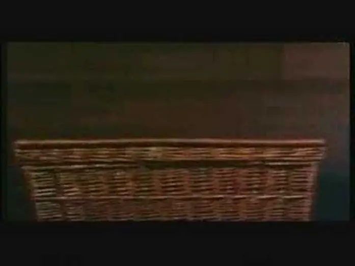 Video for the film Basket Case — Basket Case (1982) Trailer