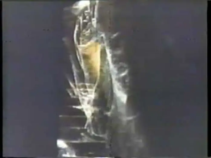 Video for the film Silent Scream — Silent Scream 1980 TV trailer