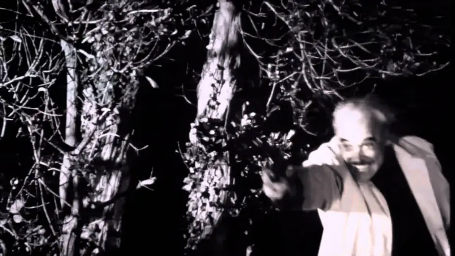 Video for the film Dementia 13 — Dementia 13 Trailer - 1963