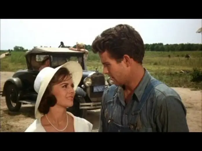 Video for the film Splendor in the Grass — Dan Ireland on SPLENDOR IN THE GRASS