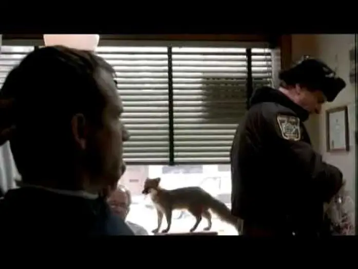Video for the film A Simple Plan — Un plan sencillo