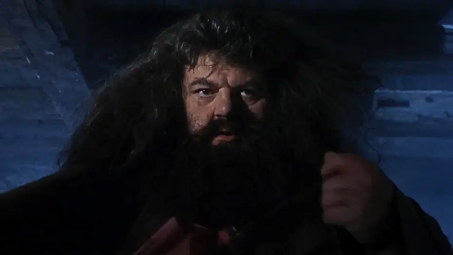 Video for the film Harry Potter and the Philosopher's Stone — A visit from Rubeus Hagrid | Harry Potter and the Philosopher's Stone