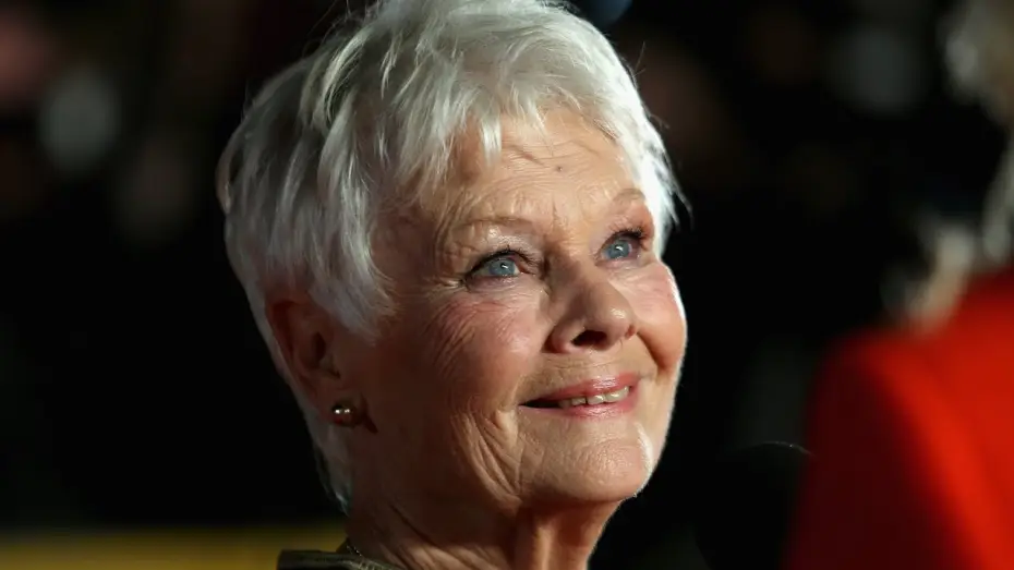 Video for the film Philomena — Judi Dench and Steve Coogan in Philomena
