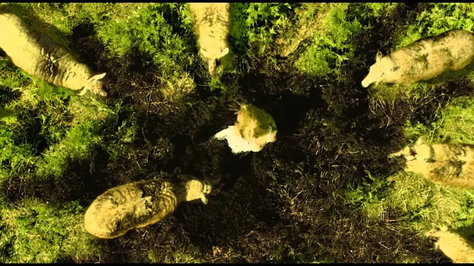 Video for the film Nothing Left to Fear — LES PORTES DE L'ENFER - LA LEGENDE DE STULL- Bande annonce - VF