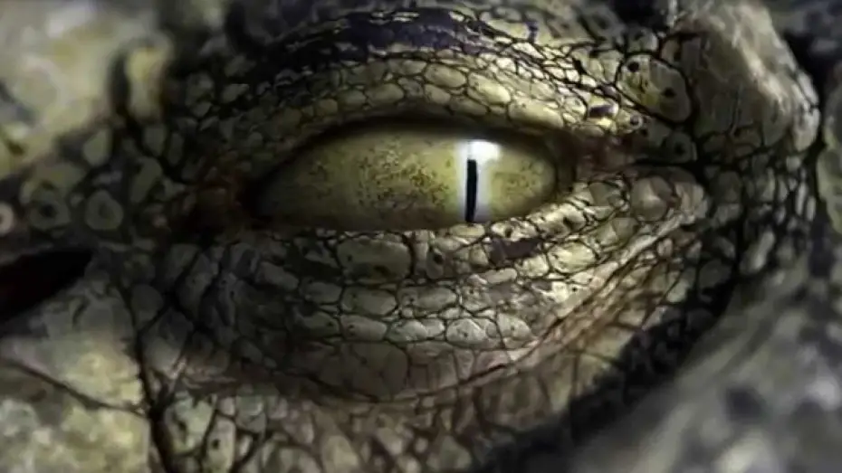 Video for the film RoboCroc — Robocroc Trailer