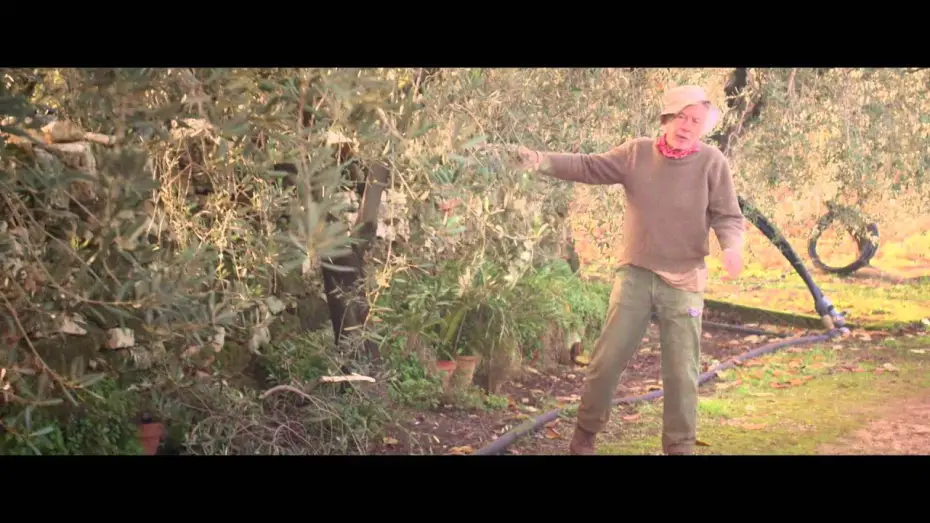 Video for the film Spring — Spring - Love is a Monster (2014) Trailer HD German Deutsch