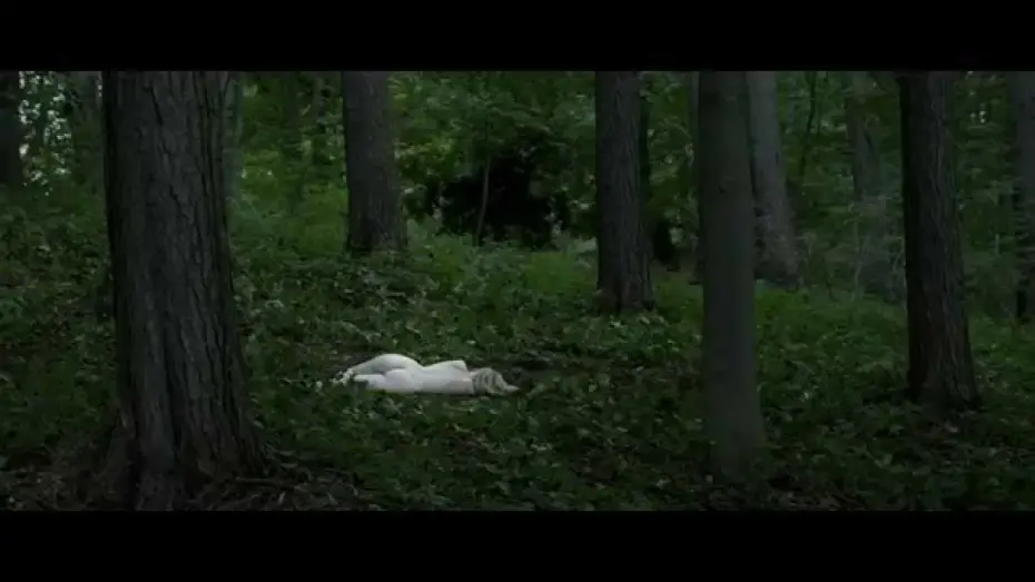 Video for the film The Absent One — ZABÓJCY BAŻANTÓW - oficjalny polski zwiastun (HD, 1080p)