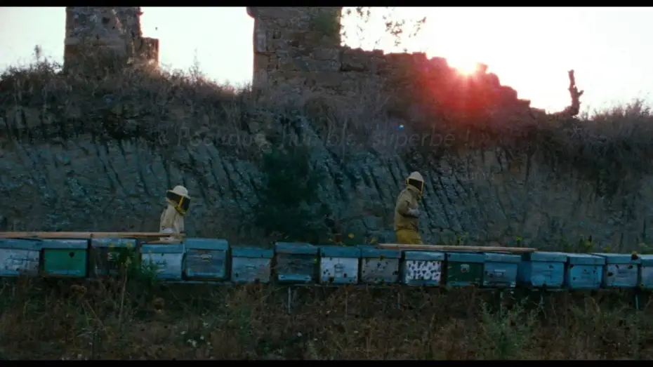 Video for the film The Wonders — Les Merveilles - Bande Annonce VOST