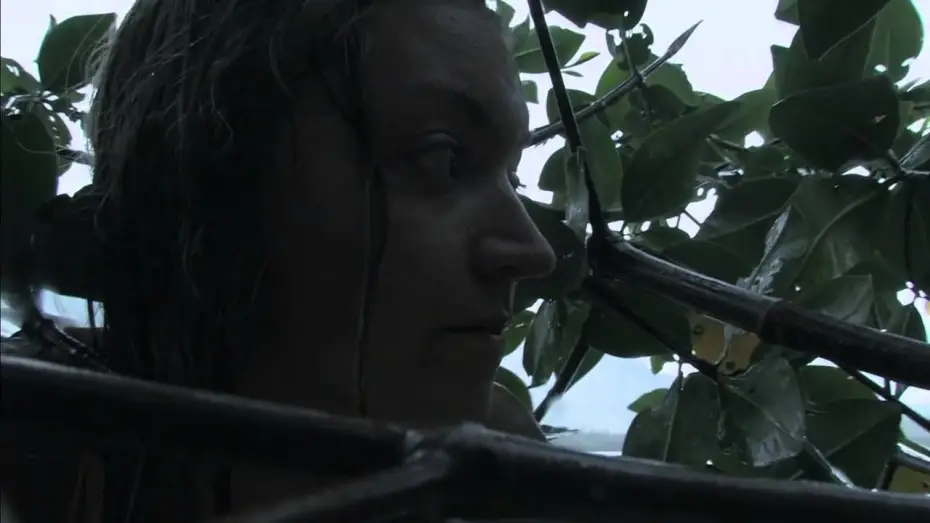 Video for the film Filosofía natural del amor — Trailer, Filosofía natural del amor