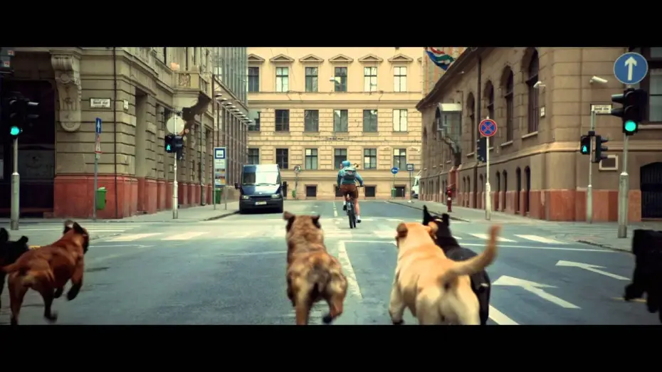 Video for the film White God — White God - Bande Annonce VF