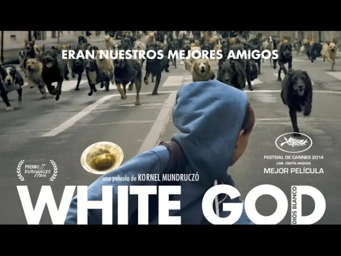 Video for the film White God — WHITE GOD (DIOS BLANCO) - Tráiler en español HD