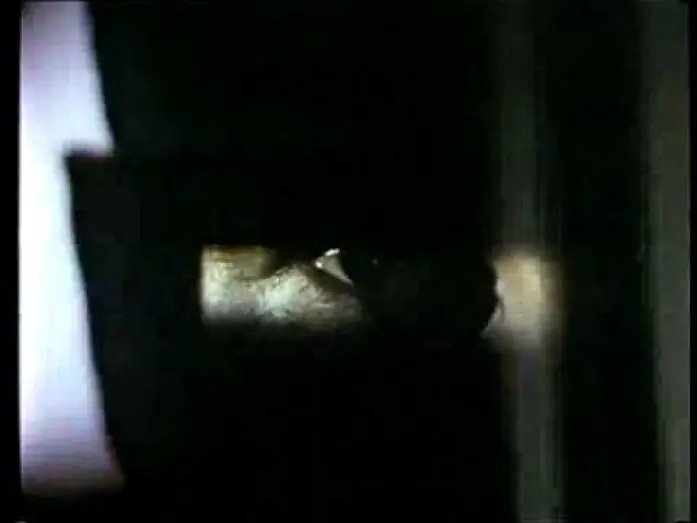 Video for the film The Custodian — 'The Custodian' (1993) Trailer