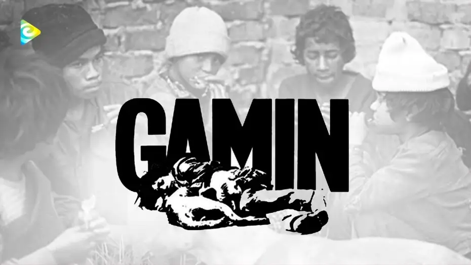 Video for the film Gamin — Documental 'Gamín' en RTVCPlay | Tráiler